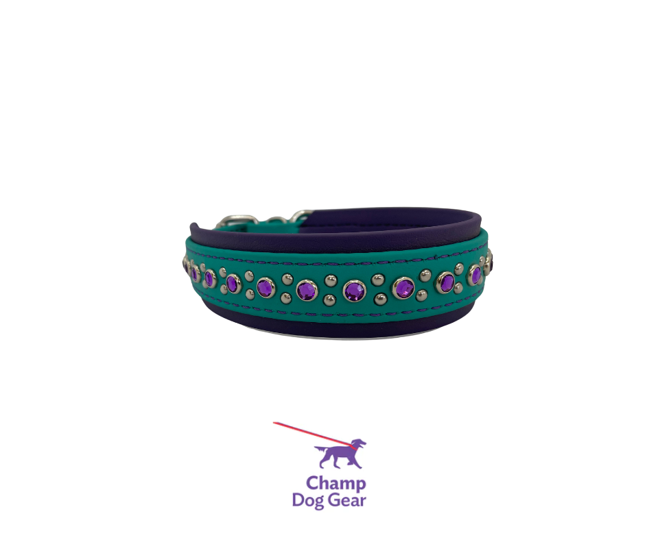 In STOCK - Teal / Purple BioBling 5