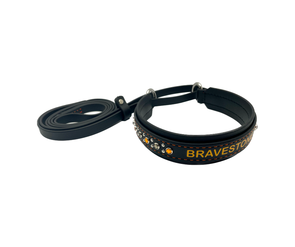 Personalized / Custom 1 1/2" BioBling Martingale Leads