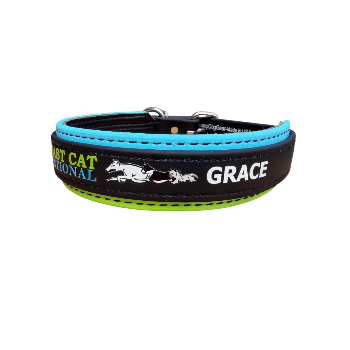 E. Two Toned Collar - 2026 AKC FastCAT Invitationals BioThane Collar