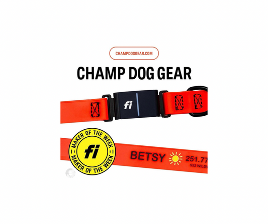 Fi Series 3/3+ Compatible Snap Collar (Fits 12-15" Neck) - Personalized