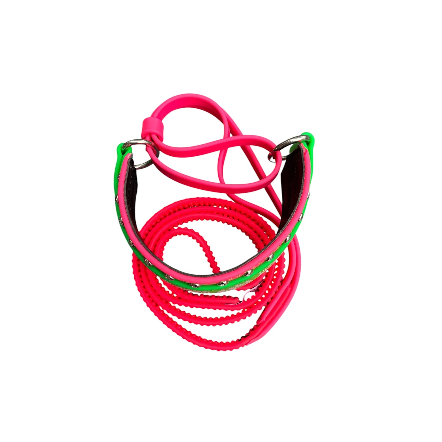A. 2" MARTINGALE LEASH - 2026 OneWorld