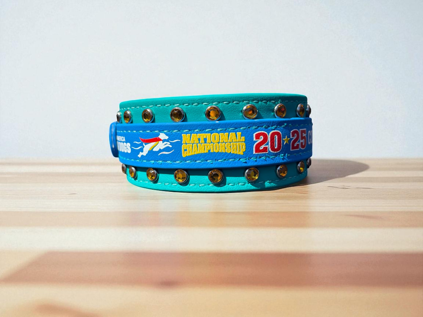 G. Two Toned Collar - 2025 NADD Nationals Collar