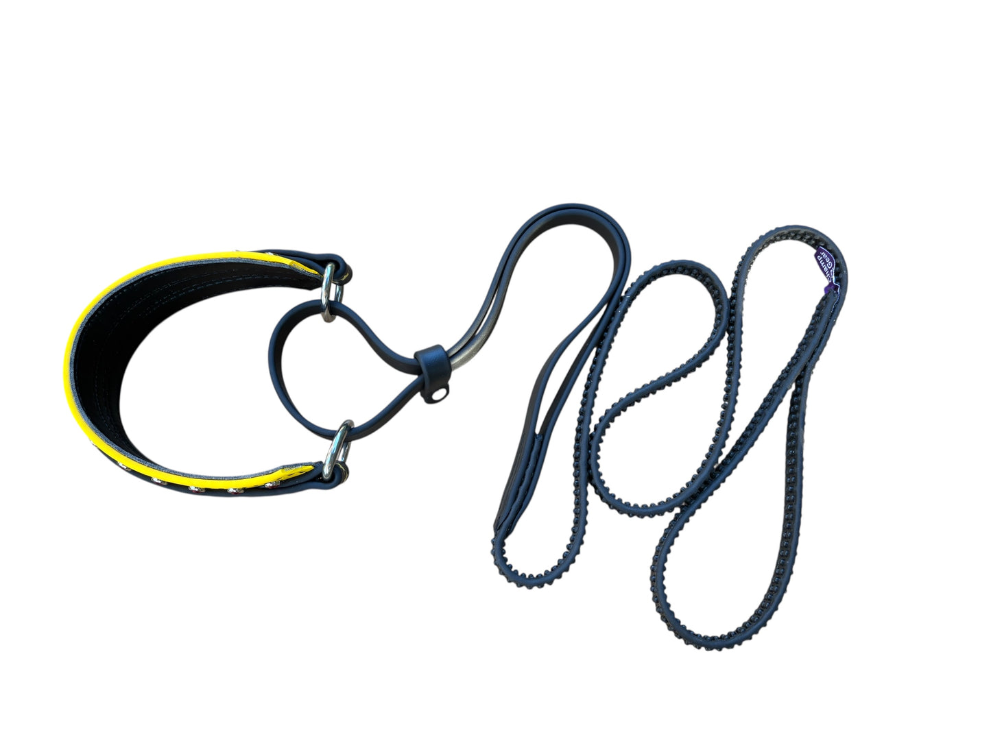 G. MARTINGALE LEASH - 2025 NADD Nationals