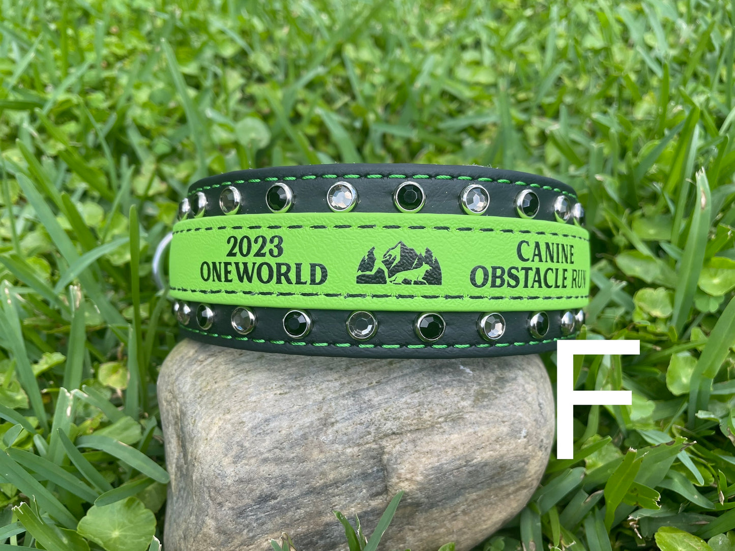 CLEARANCE A.OneWorld BioThane® CLEARANCE
