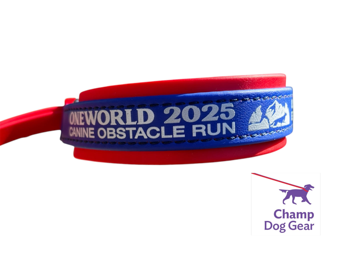 A. 1 1/2" MARTINGALE LEASH - 2025 OneWorld