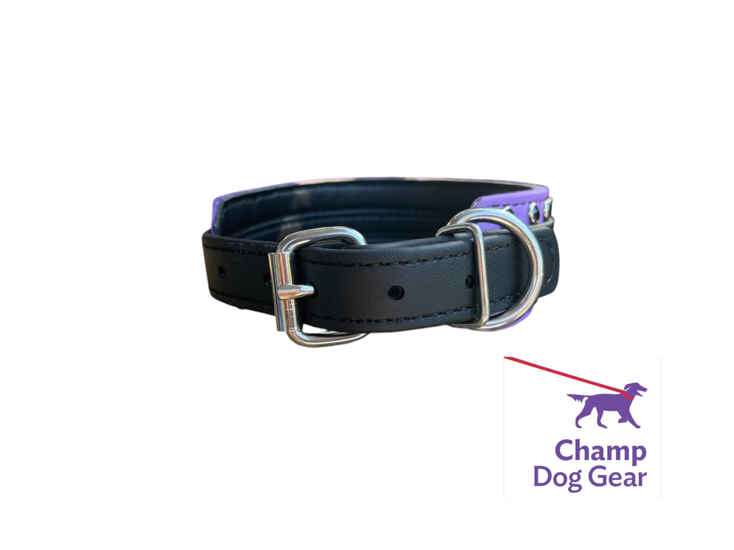 A. 2" TAGLINE Collar - OneWorld 2025 BioThane® Collar