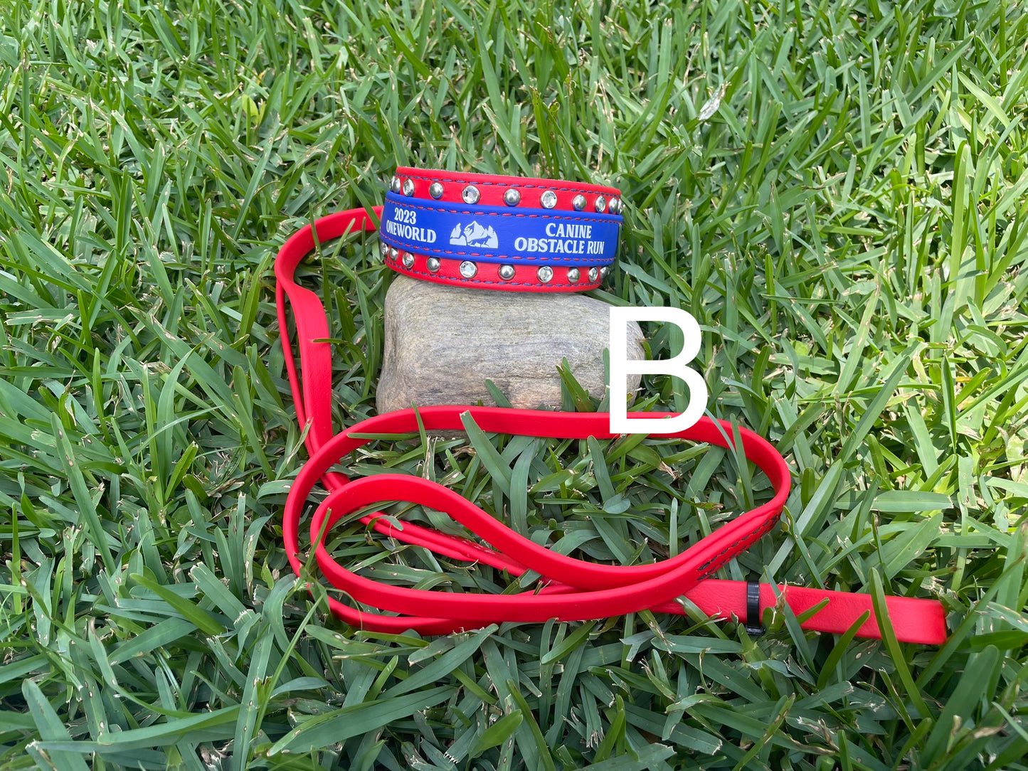 CLEARANCE 2023 OneWolrd Canine Obstacle Race - BioThane