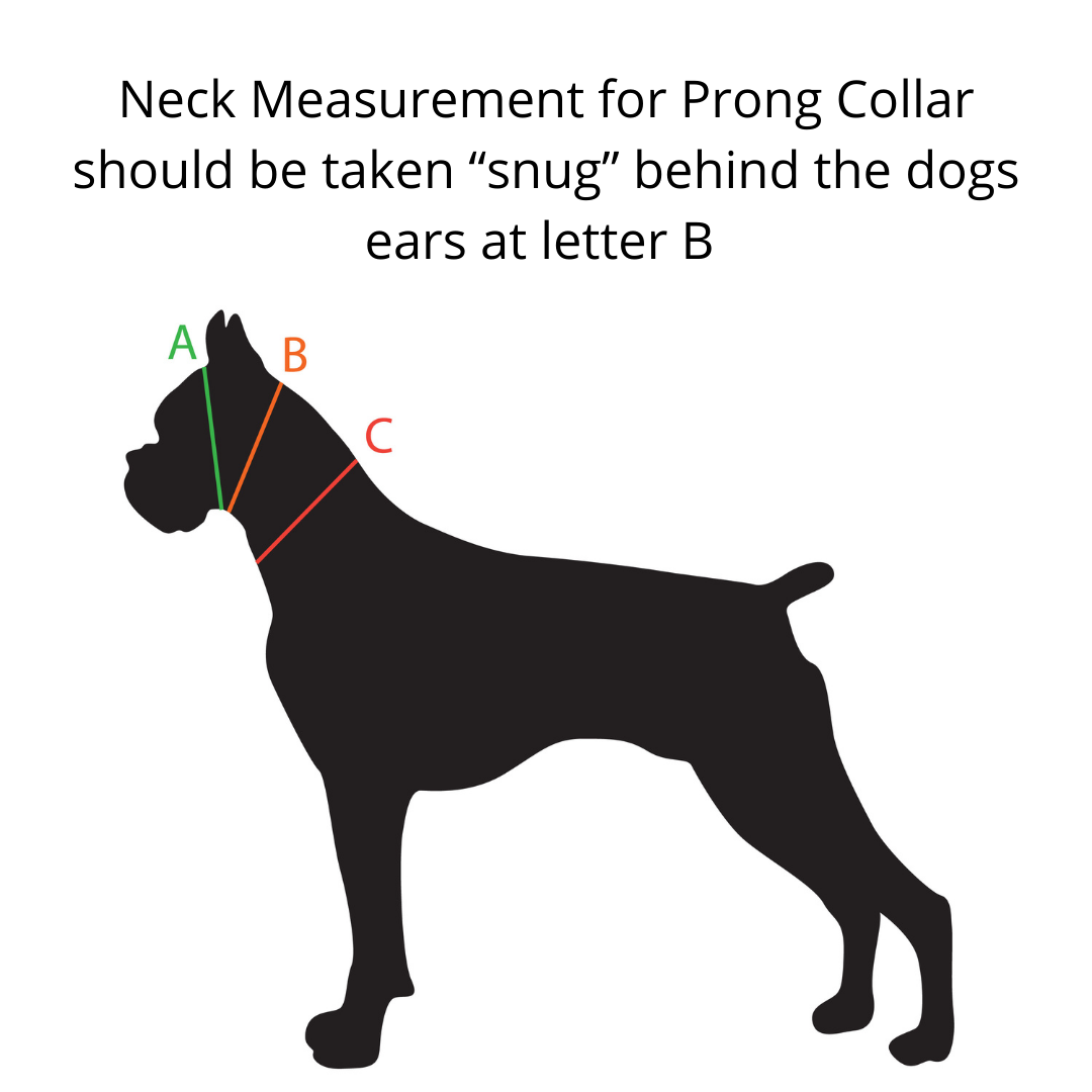 10 Prong (fits neck 19″to 23″) 2.3 - Lola Secret Powers Training Collar with Quick Release Snap