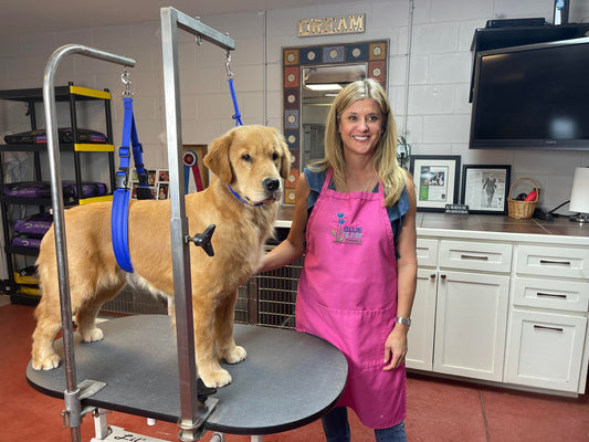 BioThane Grooming Belly Band