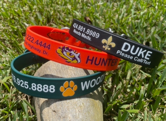 Personalized BioThane 3/4 Inch Buckle Collar