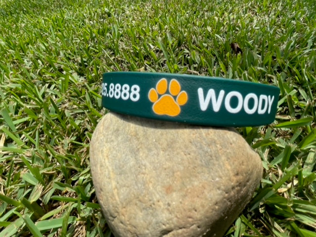 Personalized / Custom BioThane 1 Inch Buckle Collar