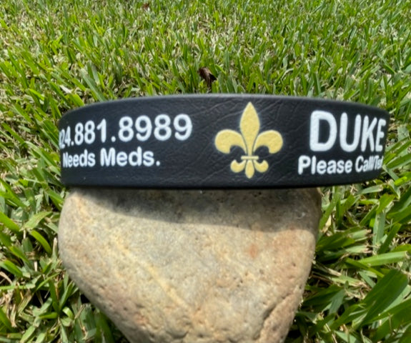 Personalized / Custom BioThane 1 Inch Buckle Collar