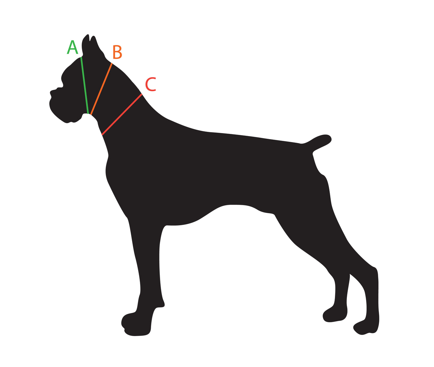 Champ BioThane 1 Inch Buckle Collar - 20, 22, 24