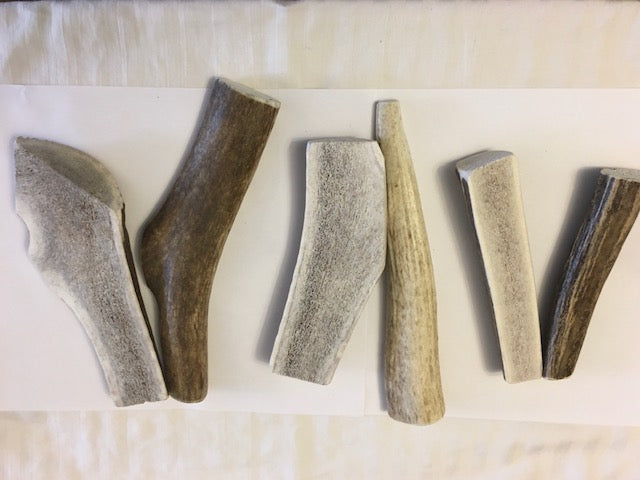 Elk Antlers