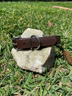 Champ BioThane 1 Inch Buckle Collar - 20, 22, 24