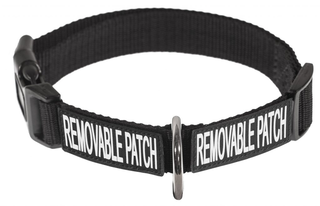 Omega Nylon Flat Collar + Built-in Hook & Loop Fastener