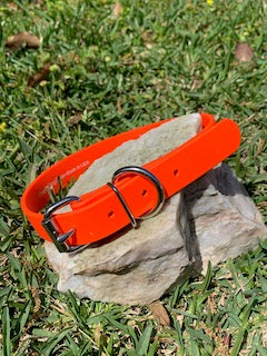 Champ BioThane 1 Inch Buckle Collar - 20, 22, 24