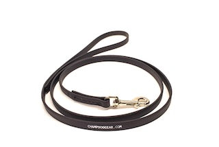 BioThane 4' Snap Lead