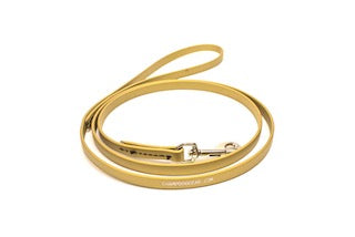 BioThane 4' Snap Lead