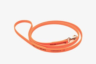 BioThane 4' Snap Lead