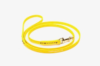 BioThane 4' Snap Lead