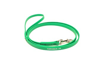 BioThane 4' Snap Lead