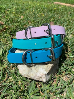 Champ BioThane 1 Inch Buckle Collar - 20, 22, 24