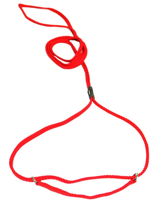 Lone Wolf 1/4" Flat Braid Martingale Style Slip Lead / Kennel Lead