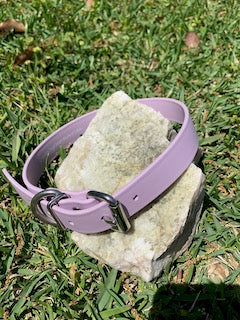 Personalized / Custom BioThane 1 Inch Buckle Collar