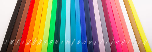 Champ Biothane Service Dog / Police Dog / Multi-Purpose Lead