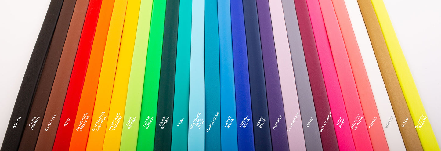SALE! CUSTOM BioThane 3/4" x 6'/4' Snap Lead