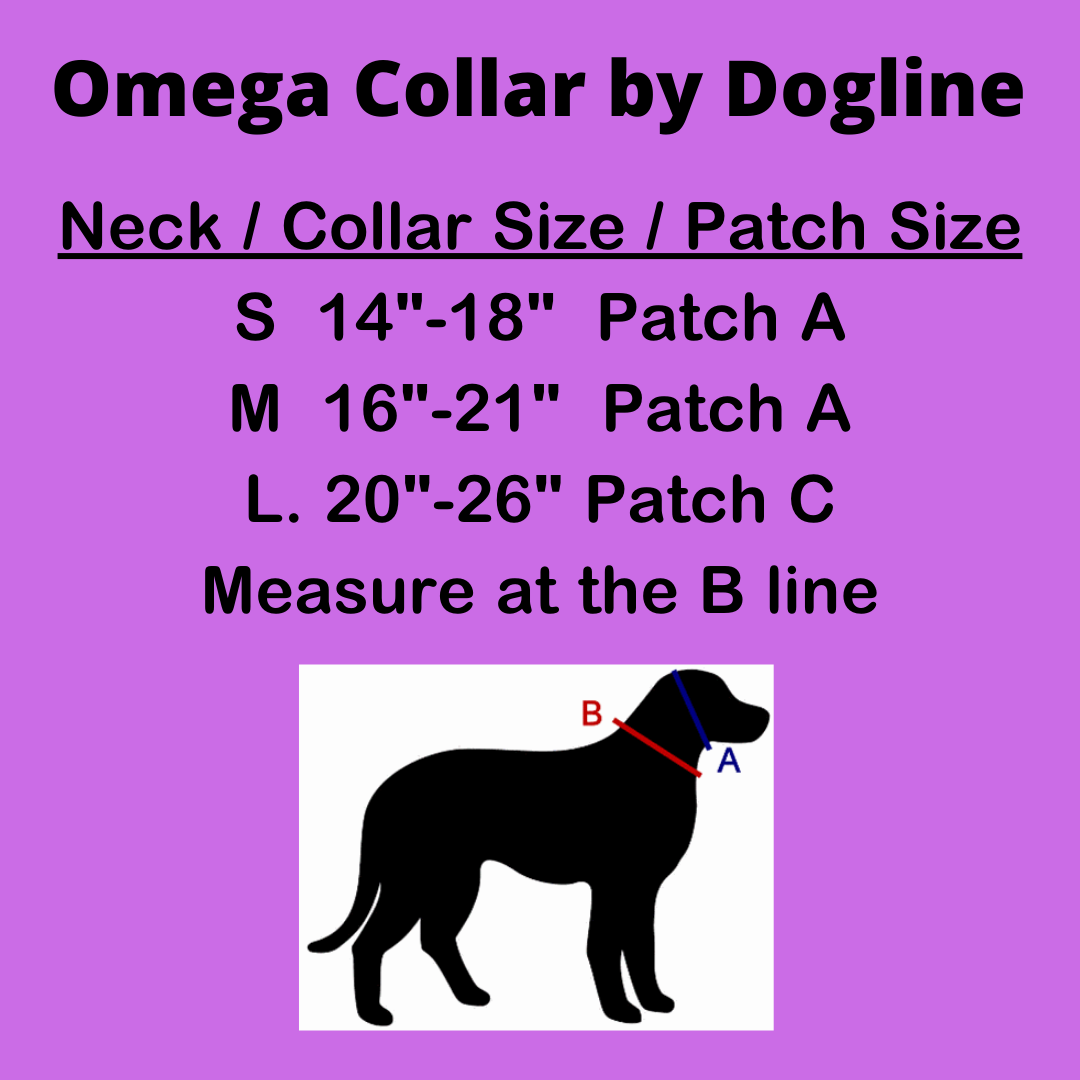Omega Nylon Flat Collar + Built-in Hook & Loop Fastener