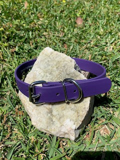Champ BioThane 1 Inch Buckle Collar - 20, 22, 24