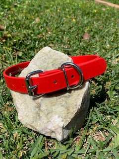 Champ BioThane 1 Inch Buckle Collar - 20, 22, 24