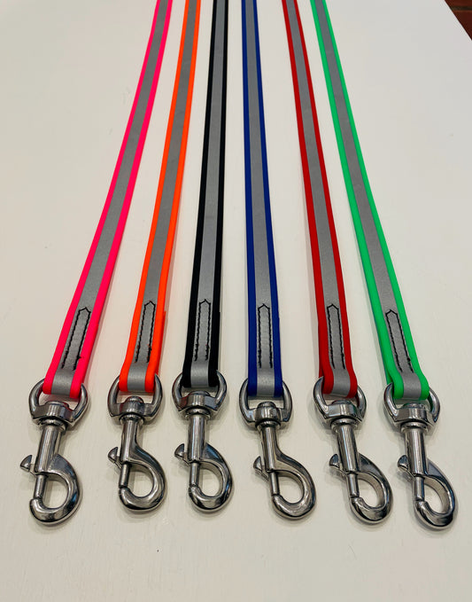 BioThane 6ft Reflective Leash