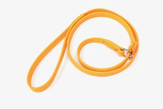 BioThane 6' British Slip Lead / Kennel Lead