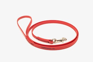 B. Snap Lead - 2025 OKC