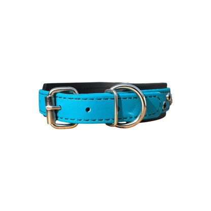 IN STOCK - BioBling Turquoise/Black