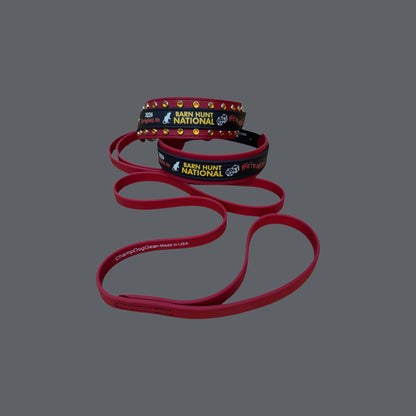 H. MARTINGALE LEASH - 2026 BHA Nationals