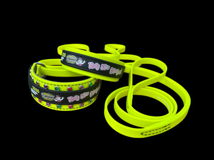 H. MARTINGALE LEASH - 2025 BHA Nationals