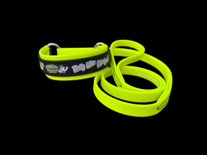 H. MARTINGALE LEASH - 2025 BHA Nationals