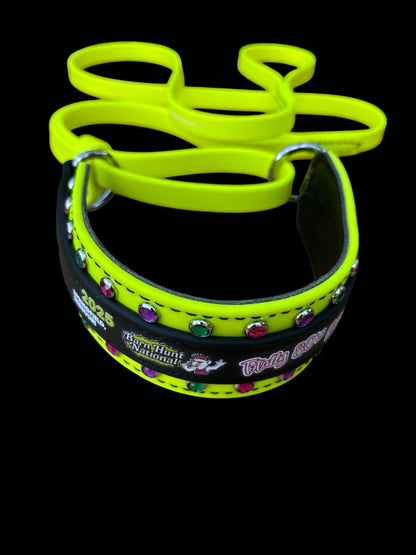 H. MARTINGALE LEASH - 2025 BHA Nationals