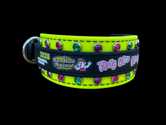 H. Two Toned Collar - 2025 BHA National Collar