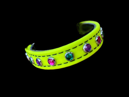 H. Tiny Dog Options - 2025 Barn Hunt National BioThane