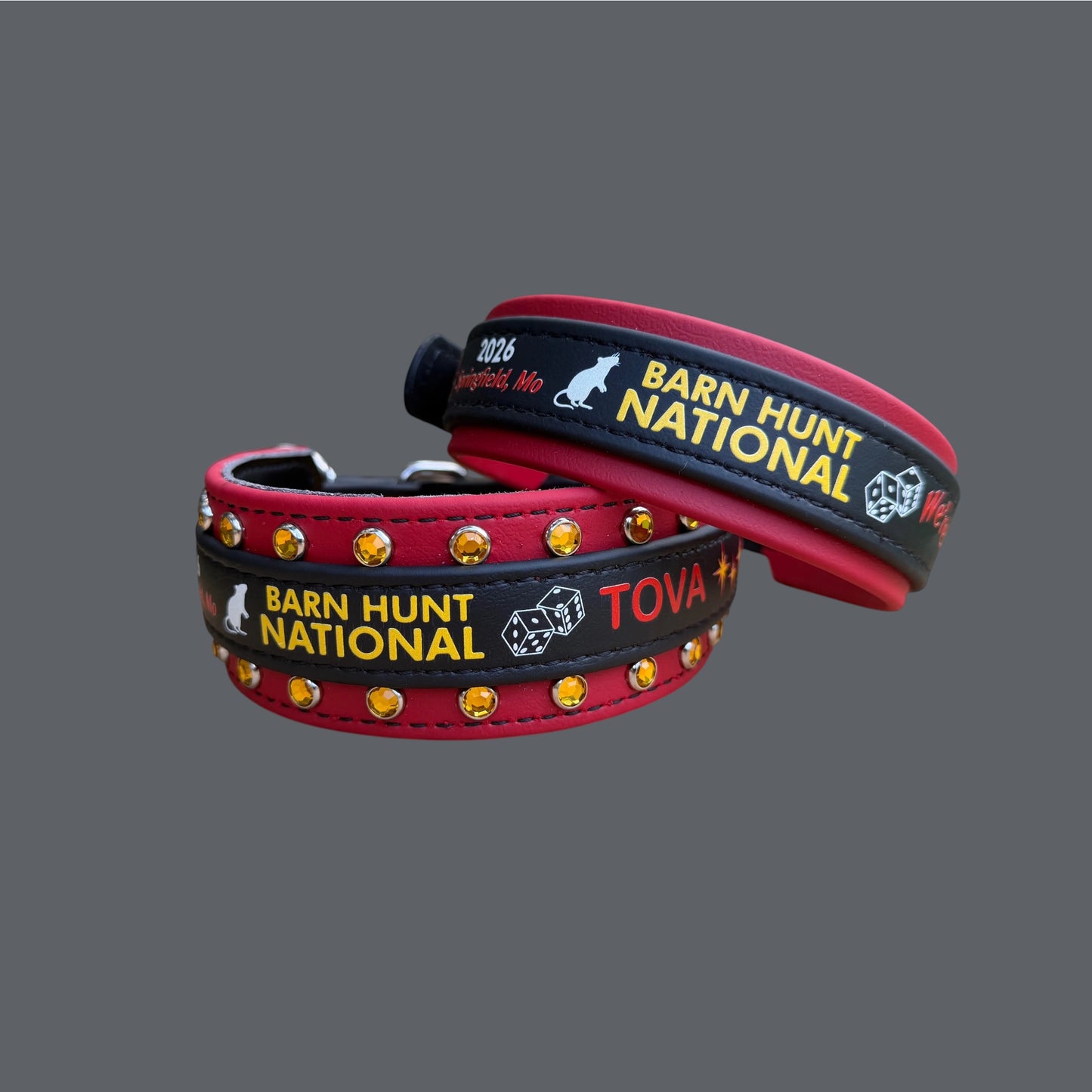 H. Two Toned Collar - 2026 BHA National Collar