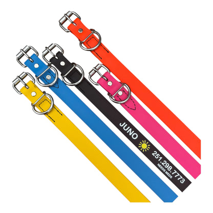 1” Classic Biothane® Buckle Dog Collar - Blank or Personalized