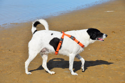 FI Series 3/3+ Compatible BioThane Figure 8 Harness - Personalized or Blank