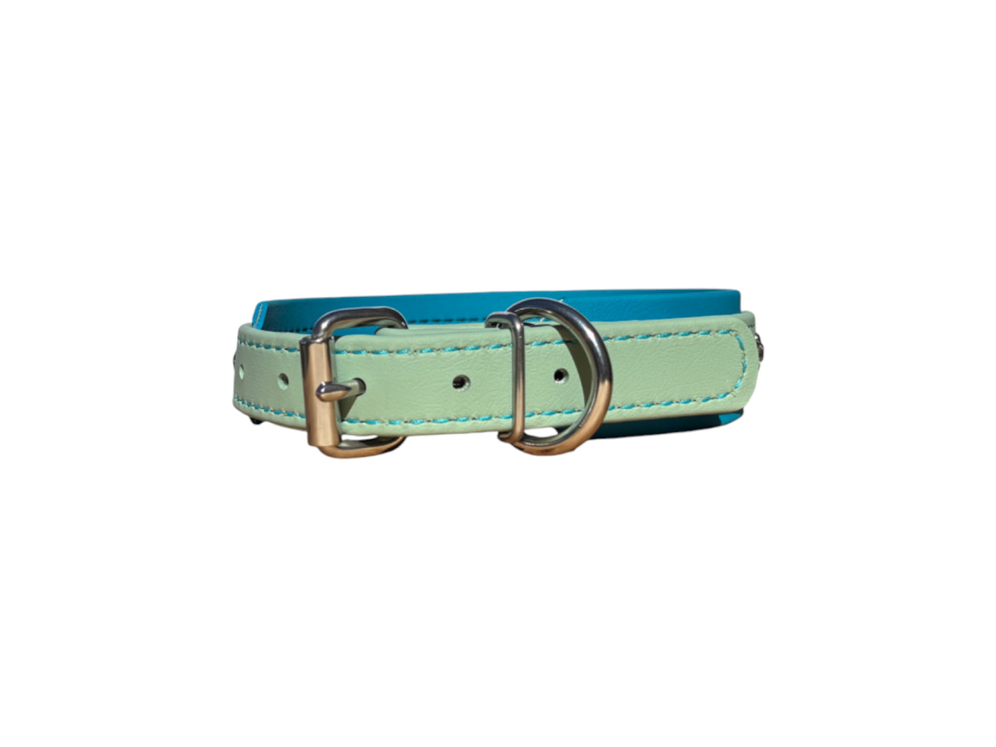 IN STOCK - BioBling Dusty Turquoise / Turquoise 5