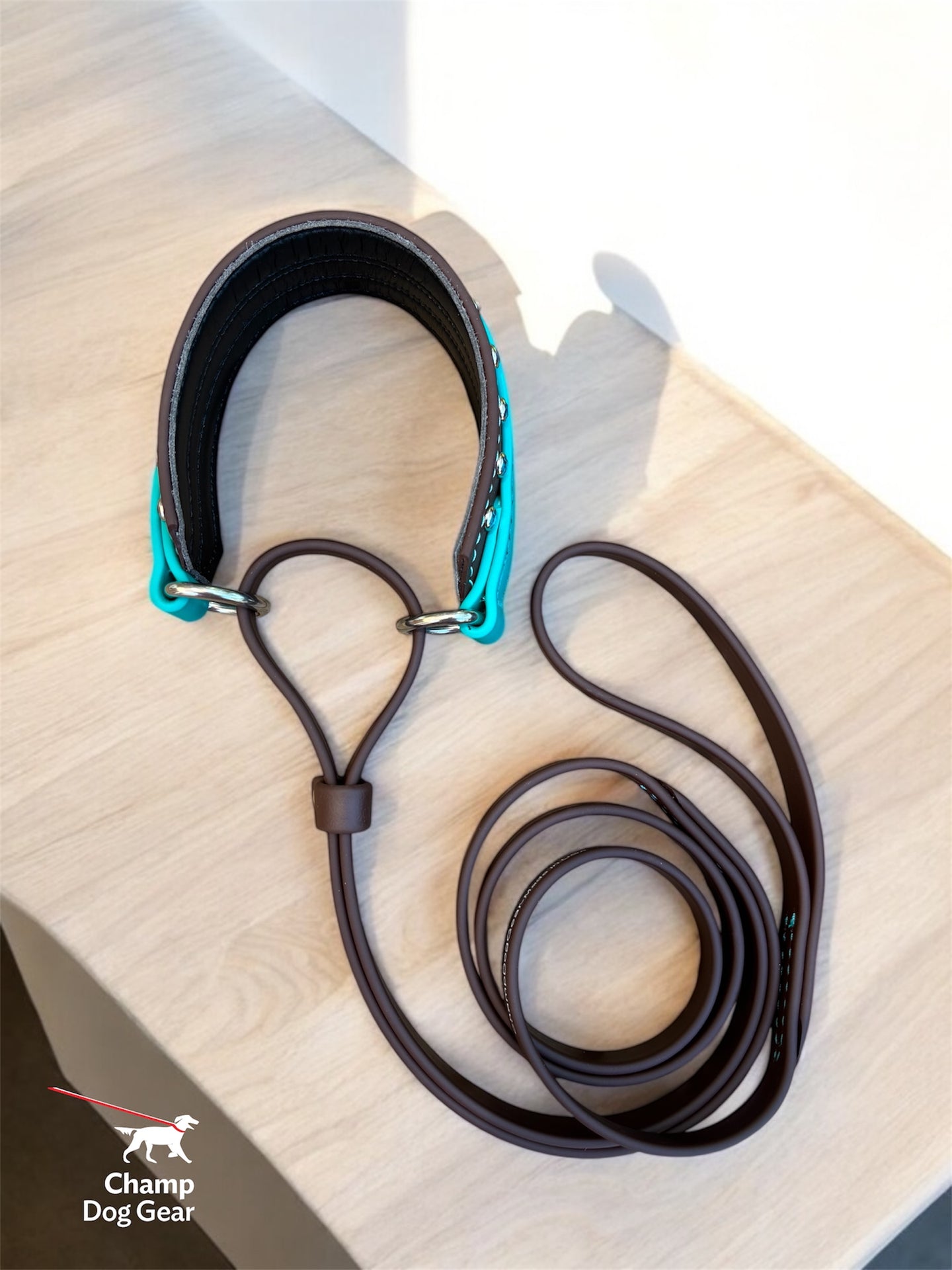 D. 2" MARTINGALE LEASH - 2025  NADD Regionals