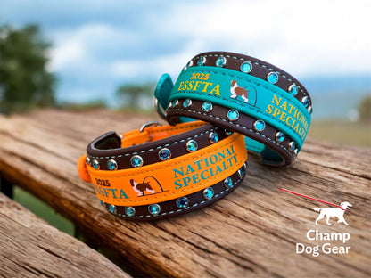 C. 2" ESSFTA Collar - 2025 BioThane® Collar